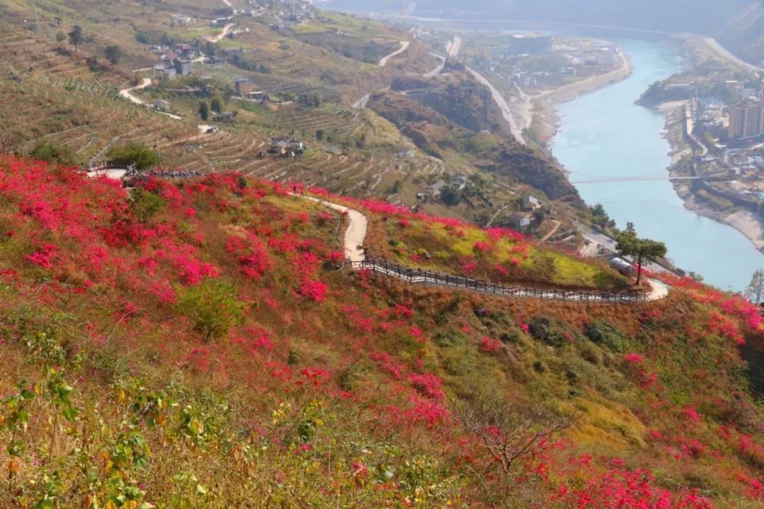 云端棧道一日游，健身娛樂兩不誤