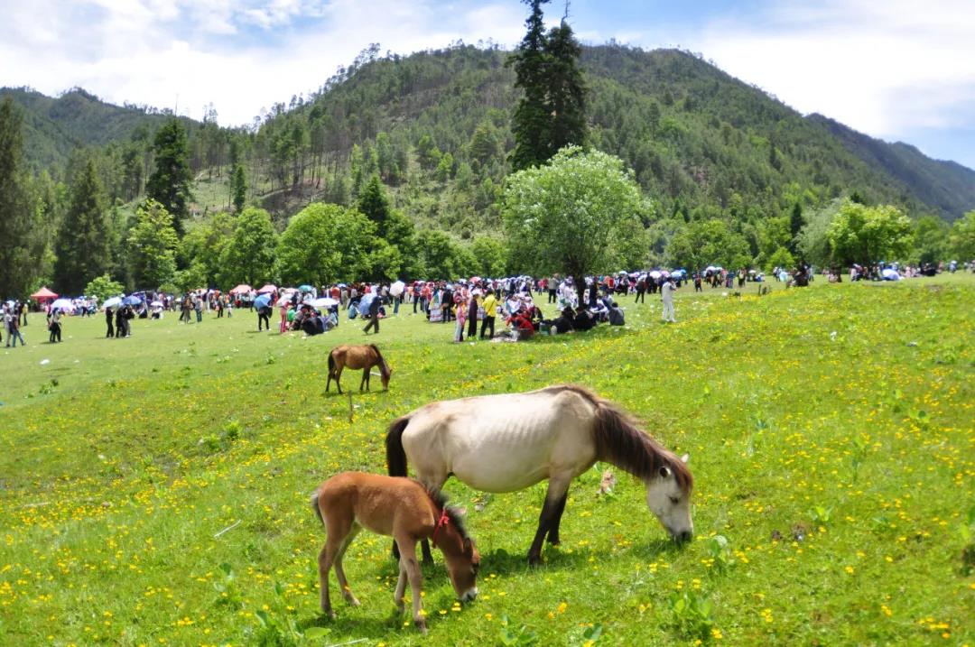 五一出游，蘭坪這些小眾景點一網(wǎng)打盡！