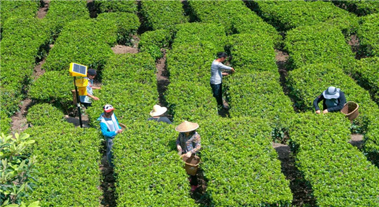 怒江旅游 怒江旅游