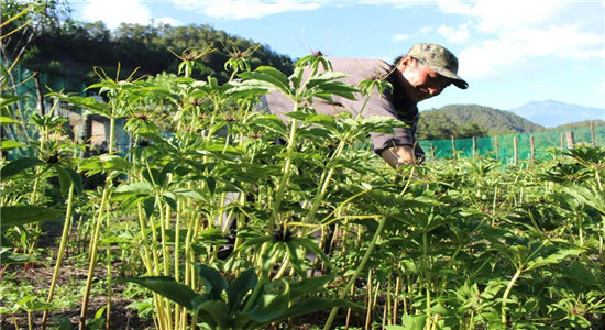 怒江旅游 怒江旅游