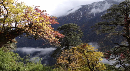 怒江旅游 怒江旅游