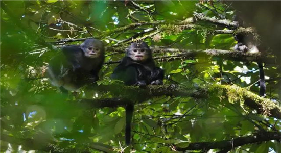 怒江旅游 怒江旅游