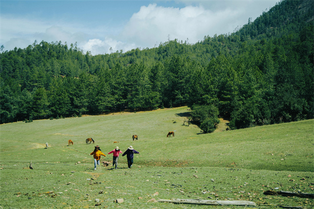 云南旅游,云南旅行社,云南團建公司,云南策劃公司,云南會議會展,云南旅游地接,怒江旅游,怒江旅行社,怒江團建公司,怒江策劃公司：“被羅古箐的山野擁抱、滌凈，再神清氣爽地回去”
